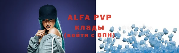 гашик Надым